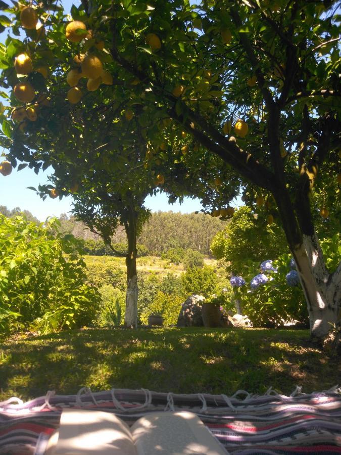 Quinta Da Chanca Paredes de Coura Exterior foto
